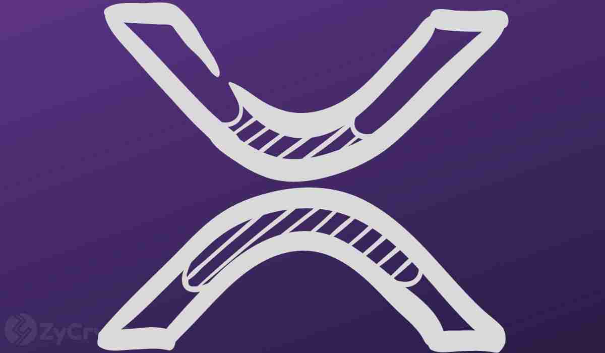 Ripple首席执行官Brad Garlinghouse解释了为什么加密货币ETF对机构投资者来说是关键的